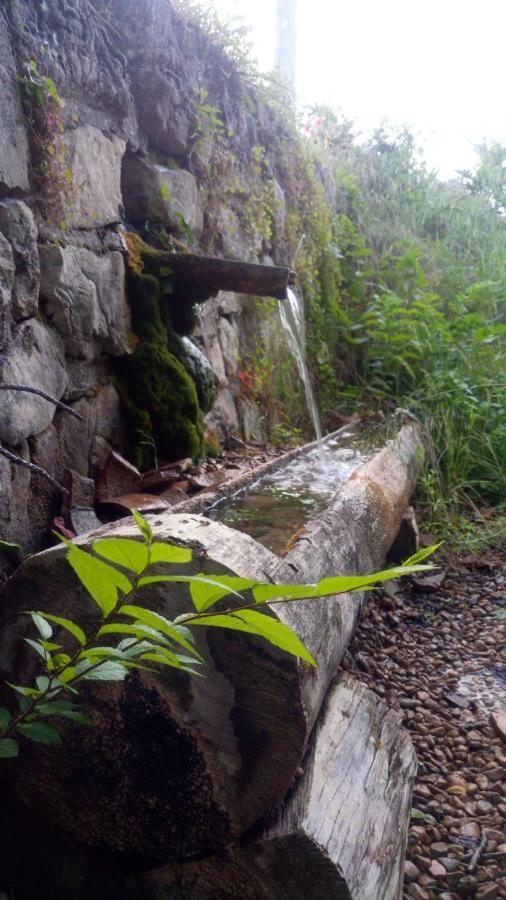 Hotel Rio Escabas, Serrania De Cuenca Cañamares Dış mekan fotoğraf