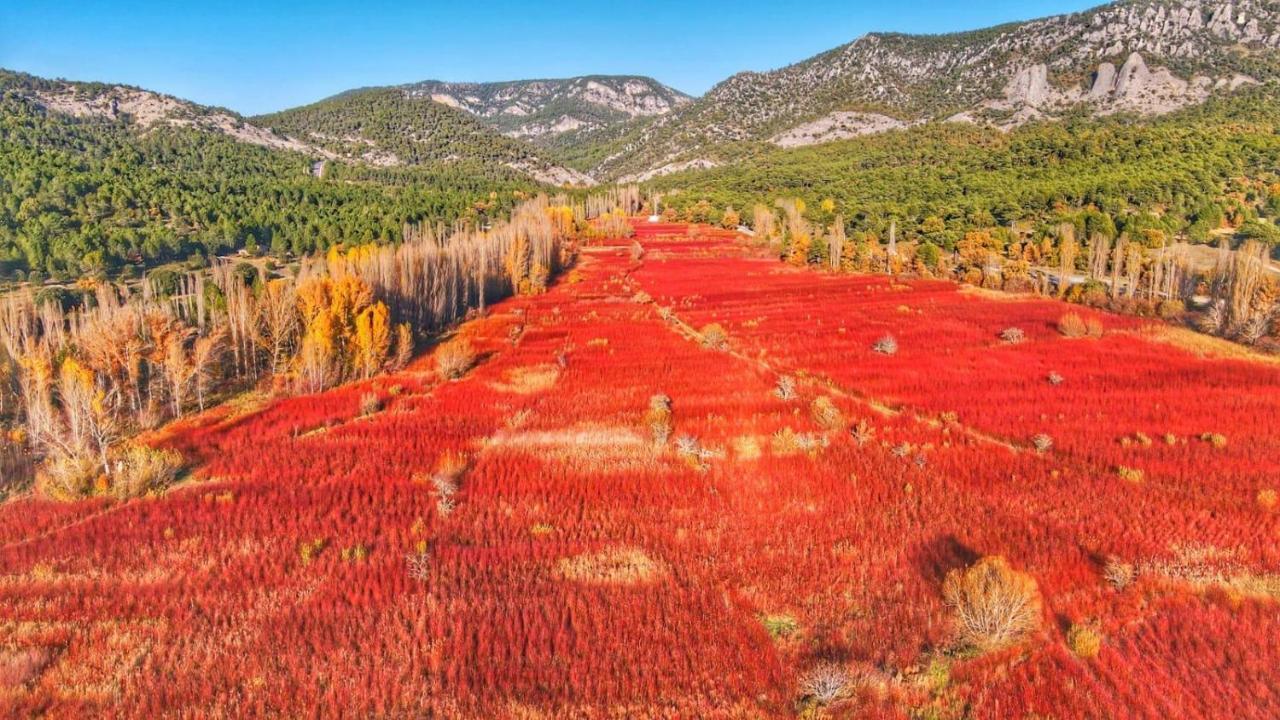 Hotel Rio Escabas, Serrania De Cuenca Cañamares Dış mekan fotoğraf