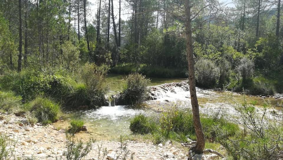 Hotel Rio Escabas, Serrania De Cuenca Cañamares Dış mekan fotoğraf