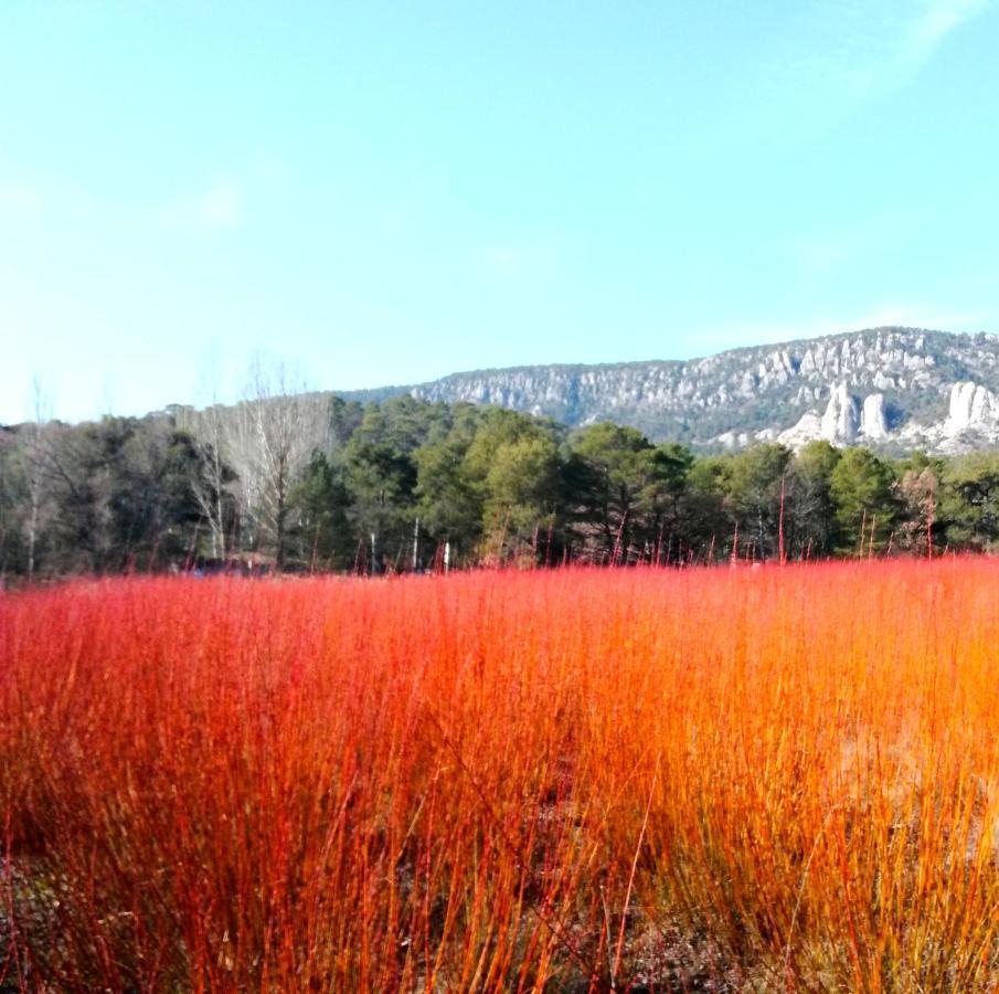 Hotel Rio Escabas, Serrania De Cuenca Cañamares Dış mekan fotoğraf